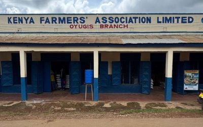 WhatsApp Image 2026-03-26 at 12.50.20 PM